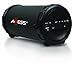 AXESS SPBT1031 Portable Bluetooth Indoor/Outdoor 2.1 Hi-Fi Cylinder Loud Speaker with Built-In 3