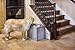 New Age Pet ECOFLEX Piedmont 2-Bowl Elevated Dog Feeder with Sliding Lid Storage Bin - Grey, Ideal for Small Spaces and Taller Dogs, Easy to Clean and Assemble, Non-Toxic and Moisture Resistant