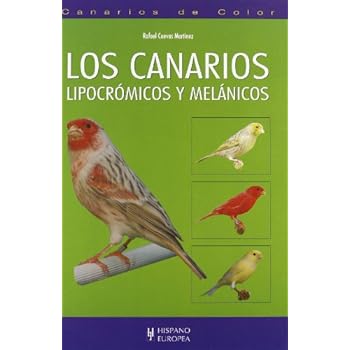 Los canarios lipocrómicos y melánicos (Canarios de color) Los canarios lipocrómicos y melánicos (Canarios de color)