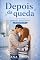 Livro Depois da queda (Irmãos Bianchine Livro 2)