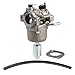 HIPA 594593 Carburetor for Briggs & Stratton 591731 796109