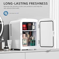 Electactic Compact Refrigerator, Portable Mini