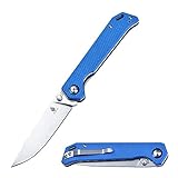 KIZER Knives Pocket Knife with Clip Blue G10 Handles Material EDC Folding knife, Begleiter V4458A3