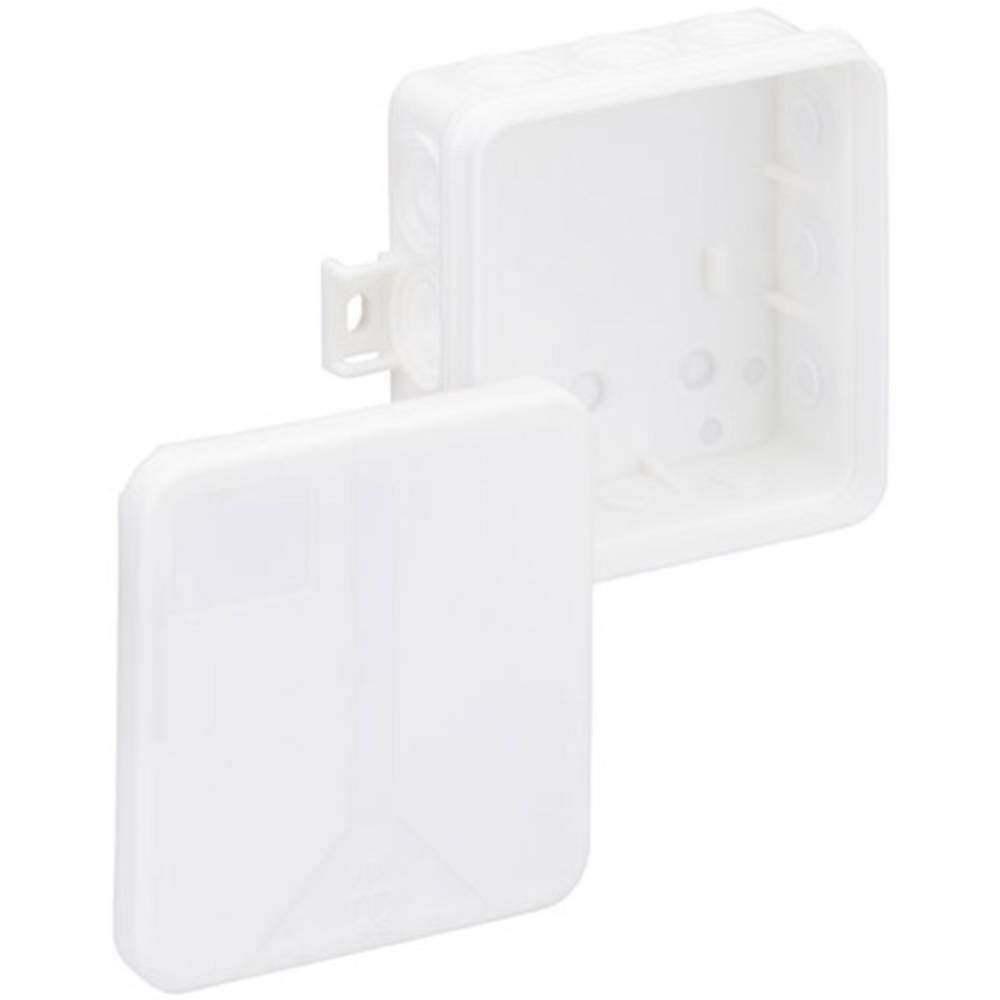 Spelsberg The 12-L/W Polypropylene (PP) Electrical Junction Box – Electrical Junction Boxes (White, 85 mm, 85 mm, 37 mm)