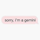 Sorry Im A Gemini Pink Text Sticker Vinyl Waterproof Sticker Decal Car Laptop Wall Window Bumper Sticker 5