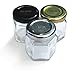 Gneiss Spice Small Empty Magnetic Spice Jars | Create a DIY Hanging Spice Rack on Your Fridge | Includes Hexagon Glass Jars, Magnetic Lids + Spice Labels (10 Small Jars, Black Lids)