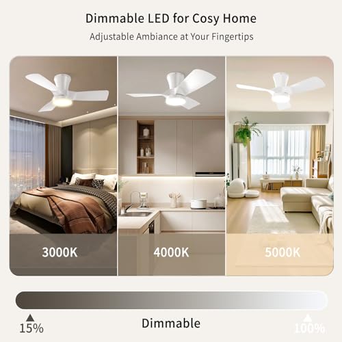 Ventilador de Techo con Luz y Mando 80cm para Techos Bajos, Motor DC Silencioso con Memoria, 6 Velocidades, Regulable 3000-6000K, Temporizador, Reversible Verano/Invierno, Modo Vacaciones, Blanco