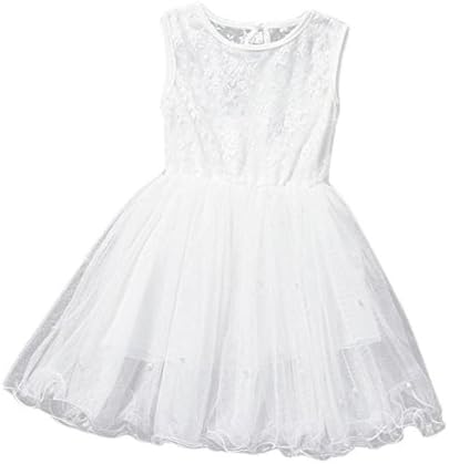 Internet Girls Sleeveless Princess Party Dress Flower Lace Skirt 2-7 Y