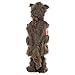 Boo! Inc. Furry Wolf Costume | Kid's Halloween Werewolf Dress Up (3-4)