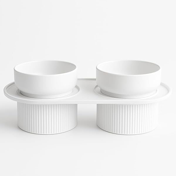 ELEVATED PET BOWLS SET, MODERN STYLE CERAMIC FOOD...