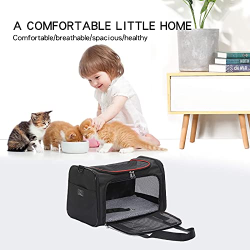 a4 pet carrier