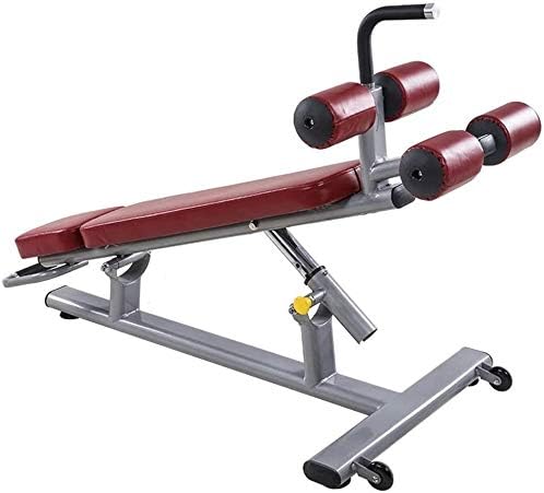 PEDFI Dumbell Workout Weight Bench Adjustable Abs Leg Bar Sit-ups Fitness Equipment Home Multi-Function Dumbbell Bench Men's Belly Plate