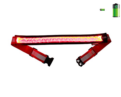 Light Up Jump Rope, Multi-Color Double Dutch Jump Rope 9FT Nice Weight, USB Rechargeable LED Jump Rope Size Adjustable for Kids Girls Boys Adults Light Show & Fun Exercise