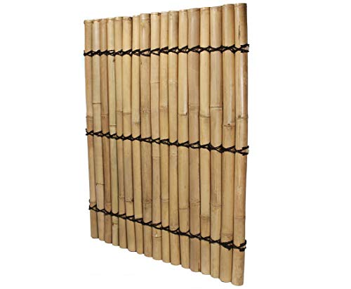 Bambus Sichtschutzzaun Bambuswand starr Apas4 150 x 120cm aus dicken gelblichen Bambusrohren mit 7-9cm Durchmesser