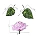 NAYARD Ivy Garland Artificial Greenery Garland 12 Strands 82 Feet Fake Ivy Vines Silk Leaves Garlands Decorations for Wedding Party Garden Water Pipe Fence Outdoor Indoor Wall (Ivy Garland)