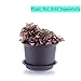 T4U 5.3 inch Plastic Round Succulent Plants Pot Saucer Trays for Holding Water Drips and Soil (Dark Grey, Set of 10)thumb 2