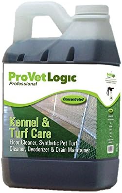 tortoise natural food