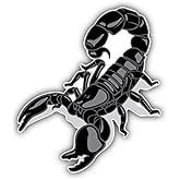 KW Vinyl Black Scorpio Animal Truck Car Window Bumper Sticker Decal 5