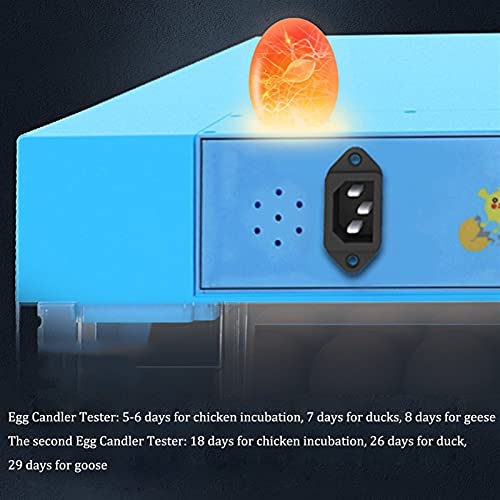 Hähnchen Eier Inkubator 320 Eier Mit Autom Wendung Bauernhof Brutmaschine Digital Brutapparat Geflügel Brüter Zum… – Bild 7