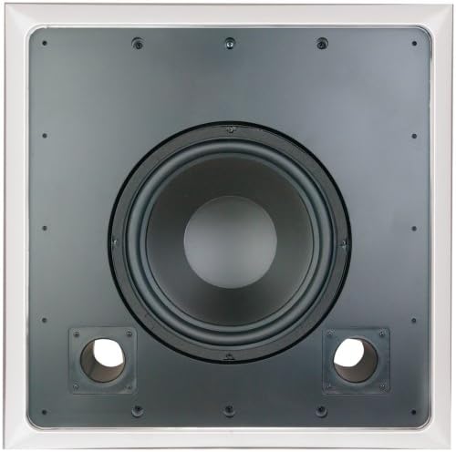OEM Systems SE-10SWD The Stud Woofer (Dual Channel Model) (OEM Systems SE10SWD)