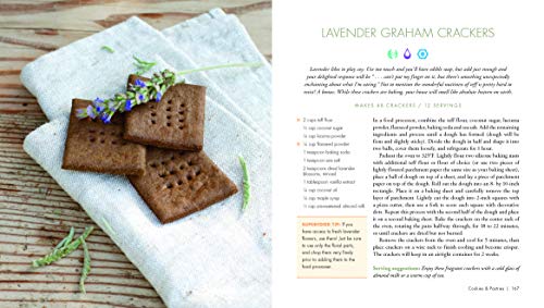 image for Sterling Superfood Snacks: 100 Delicious, Energizing & Nutrient-Dense 
