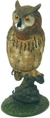 AMERICAN OWL IDEAL FOR DECOYING CROWS - PEST CONTROL - HUNTING SHOOTING