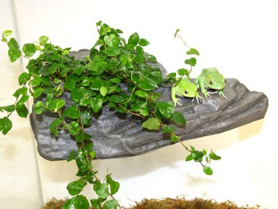 Magnaturals Medium Planter Ledge Granite - Magnetic Decor