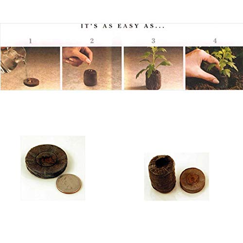 100 Jiffy 7 Peat Pellets 42mm - Seeds Starting - Jiffy Peat Pellet Helps to Avoid Root Shock - 100 J - //coolthings.us