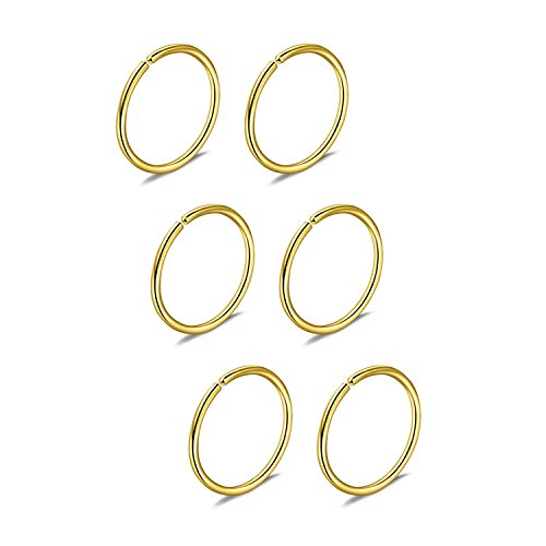Briana Williams Fake Nose Ring-Nose Rings Hoop Cartilage Earring Hoop Septum Piercing 6pcs 22G-20G-18G-16G 6/8/10/12mm 316L Stainless Steel Nose Hoop Ring Faux Body Piercing Jewelry