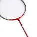 Senston - 2 Player Badminton Racket Set Double Rackets - Including 1 Badminton Bag/2 Rackets/2 Badminton /2 Grip