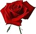3D Jelly Cake Tools specially -Type 2 - Rose flowers - 5 pcs/set