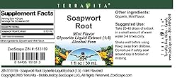 Soapwort Root Glycerite Liquid Extract (1:5) - Mint