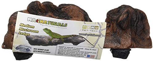 Magnaturals 37089 Mushroom Ledge