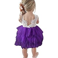 JNKLWPJS Baby Girls Tutu Dress Backless A-line Lace Back Flower Party Tulle Dress D-Purple 2 Years
