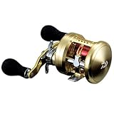 ダイワ(Daiwa) リール 14 ミリオネア 100