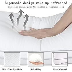 HIMOON Bed Pillows 2 Pack - Queen Size Set of 2