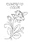 Livro FLORES PARA COLORIR: FLOWERS TO COLOR