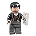 LEGO Harry Potter Fantastic Beasts Series Credence Barebone (71022)