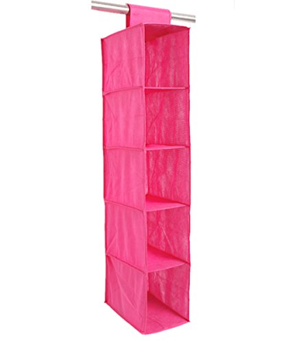 5-Shelves Collapsible Hanging Closet Organizer, 6 Pure Color,1 Pack (rose-red)