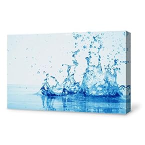 SIGNFORD Canvas Wall Art for Living Room,Bedroom Home...