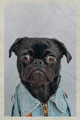 retro pug puppies