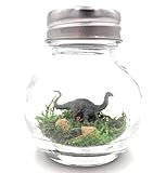 1 Inch Pet Apatosaurus Dinosaur Desk Diorama with Adoption Certificate