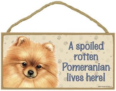 Aianhe A Spoiled Rotten Pomeranian Lives here Wood Sign Plaque 5" x 10"