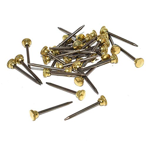 Taskar 25 x 24mm Brass Headed Knurled Picture Pins Heavy Duty Nail Hook Photo Frame Wall Hanging DIY
