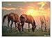 Melissa & Doug Sunset Horses Jigsaw Puzzle (300 pcs)