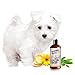 Sofee & Co. Natural Oatmeal Dog Puppy Conditioner – Detangle Moisturize Soothe Soften Normal Dry Itchy Flaky Allergy Sensitive Skin. Prevent Mattes. 16 oz (White Tea & Ginger)