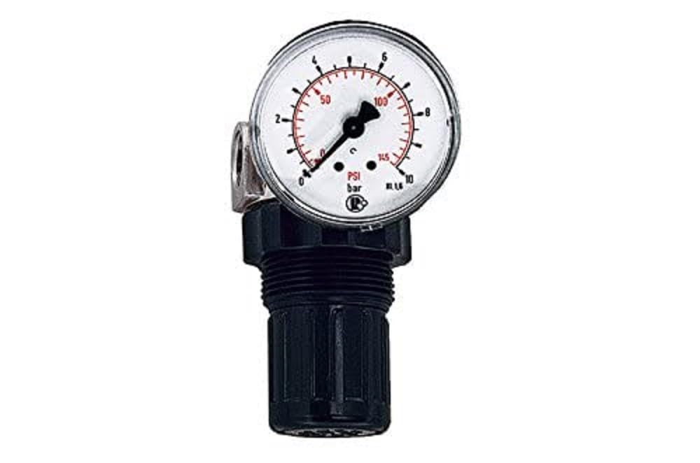RIEGLER 101303-484.03 Pressure Regulator for Water Including Mano, G 1/4, 0.1-3 Bar, PE Max. 25, Pack of 1