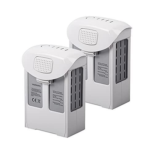 Pack Intelligent Flight Battery for DJI Phantom Series High - Main Image