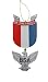 Kurt Adler Boy Scouts of America Eagle Scout Medal Christmas Ornament primary