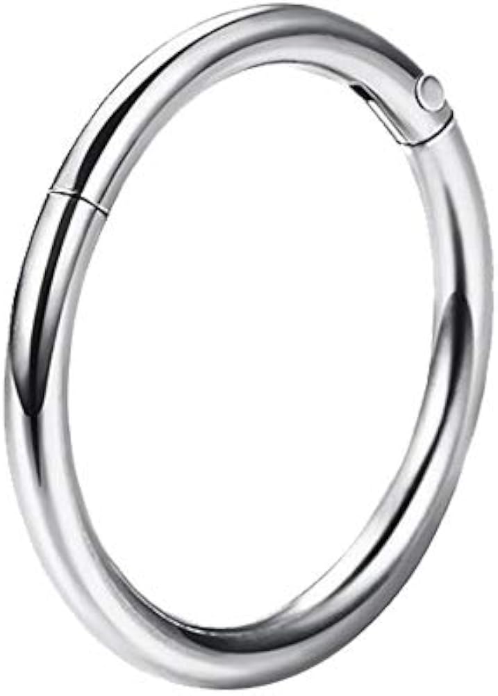 OUFER Cartilage Earring Hoop 16G Helix Earring Piercing 316L Surgical Steel Hinged Clicker Segment Septum Lip Nose Hoop Ring Helix Daith Cartilage Tragus Piercing Jewellery